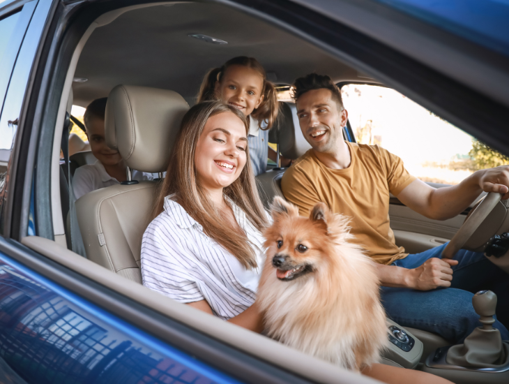 Auto 7 Posti